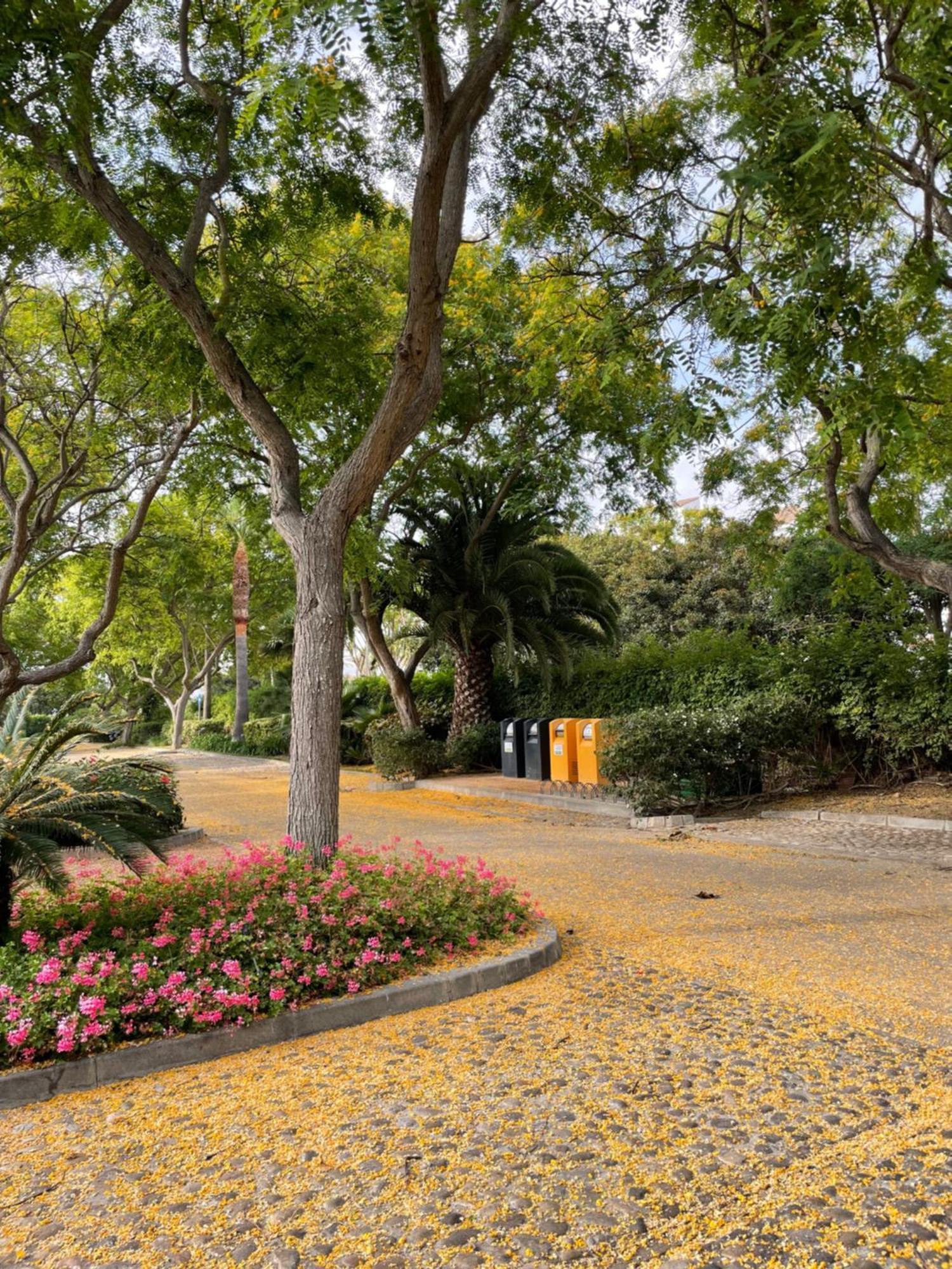 Relax&Sunset Appartement Costa Ballena Rota Exterior photo