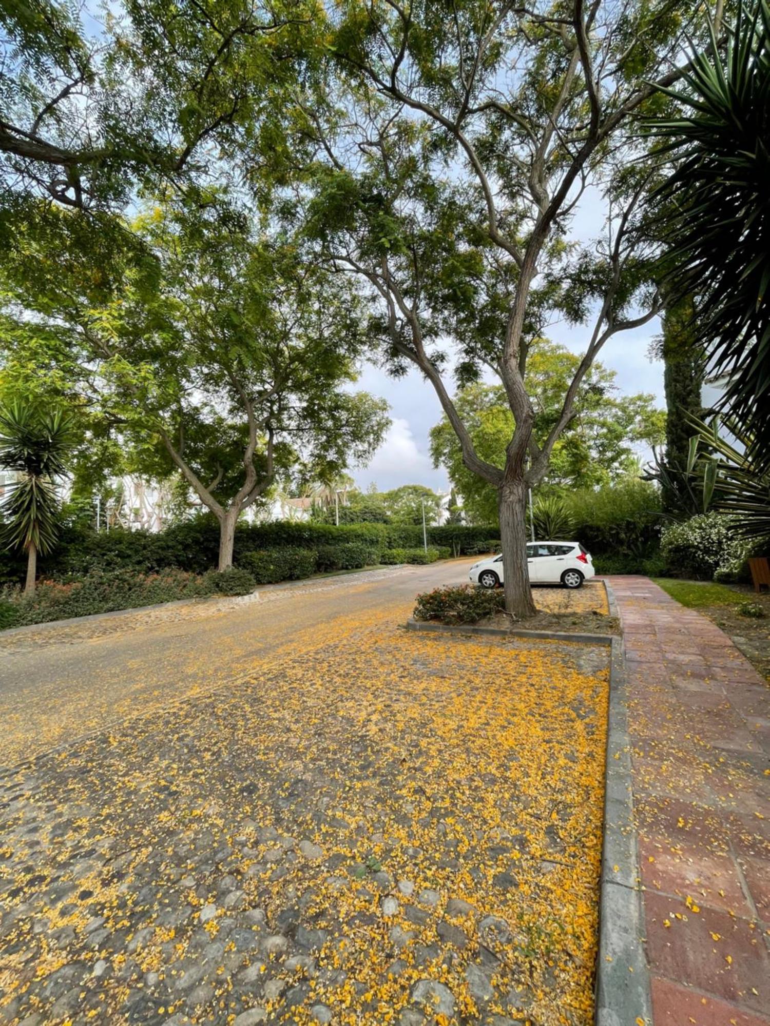 Relax&Sunset Appartement Costa Ballena Rota Exterior photo