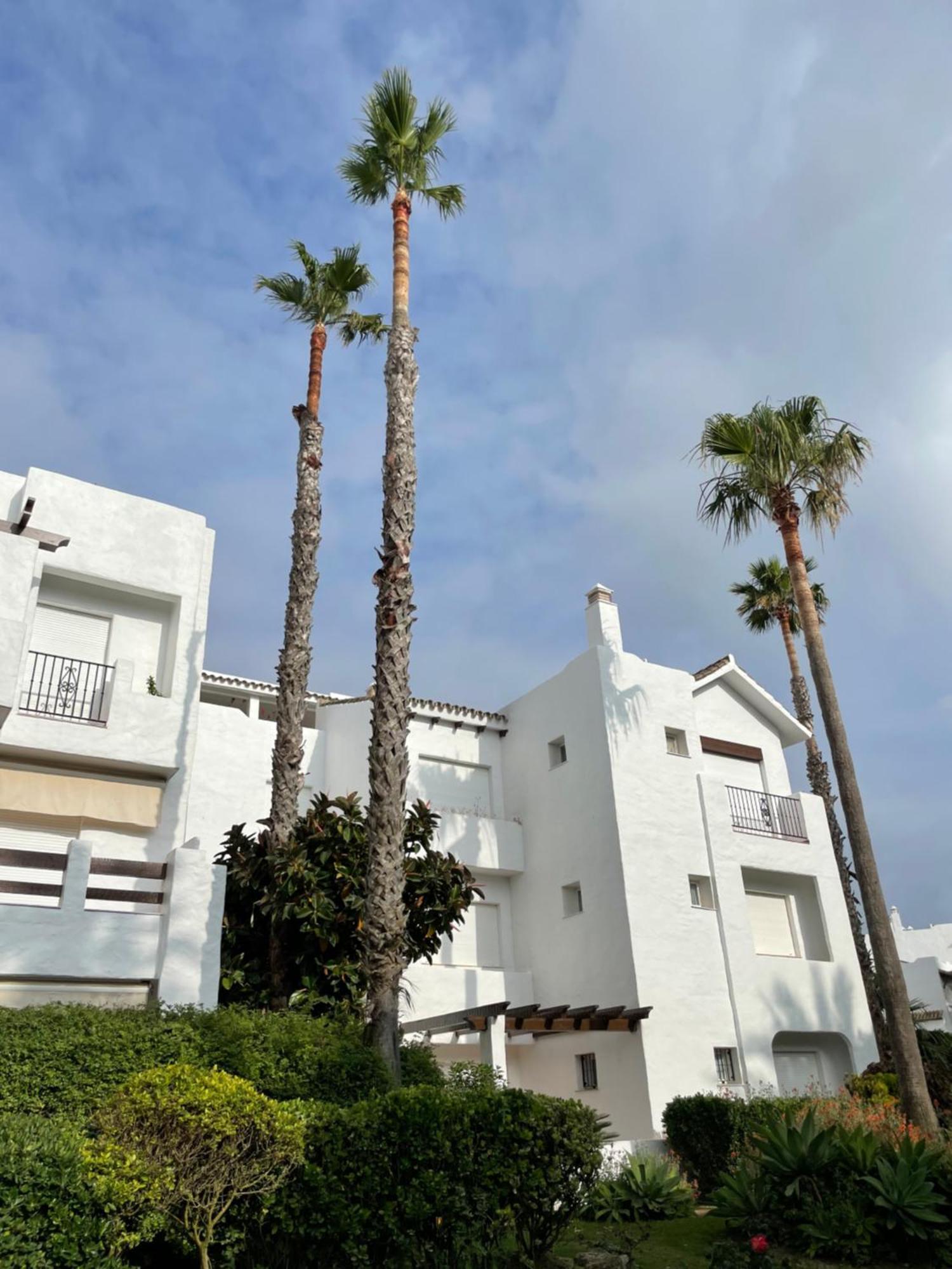Relax&Sunset Appartement Costa Ballena Rota Exterior photo